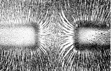 444px-magnetic_field_of_bar_magnets_repelling.png?w=444